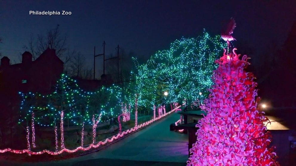 Video Philadelphia Zoo lights up for the holidays