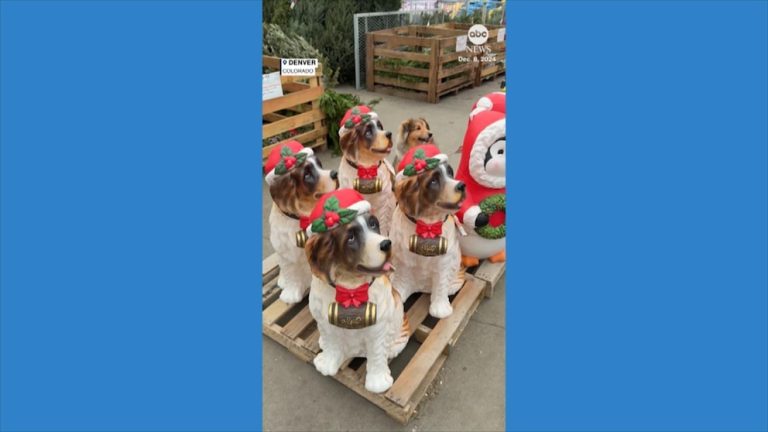 WATCH:  Dog blends in with Christmas decorations