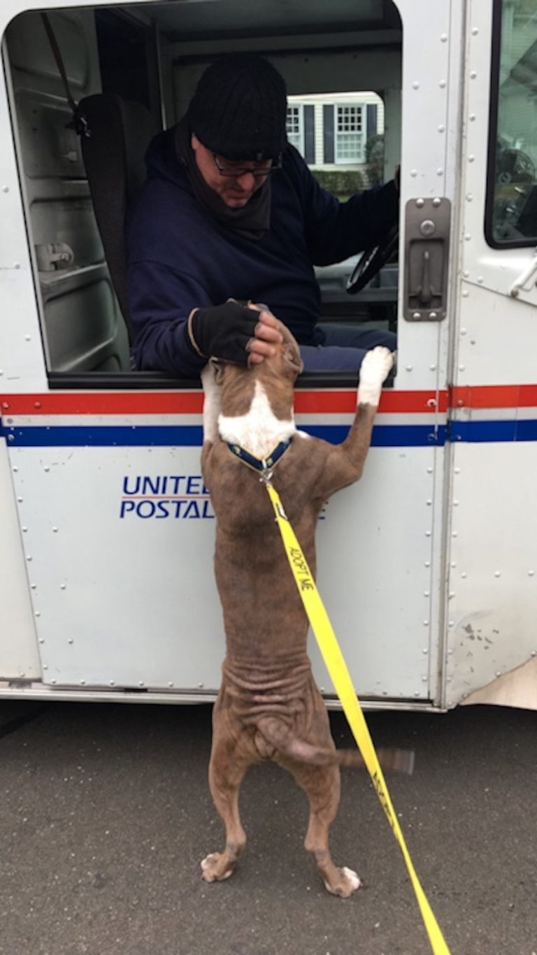 WATCH:  Mailman receives special sendoff after nearly 40 years of service