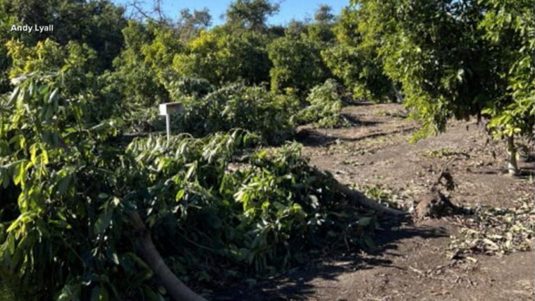 WATCH:  LA wildfires are impacting wildlife and farms