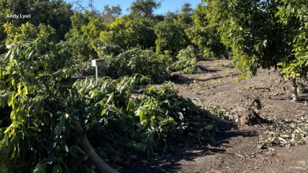 WATCH: LA wildfires are impacting wildlife and farms