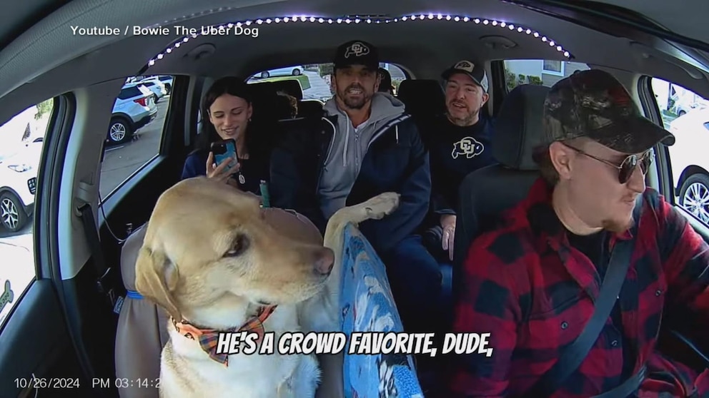WATCH: ‘Uber Dog’ makes passengers smile in Colorado