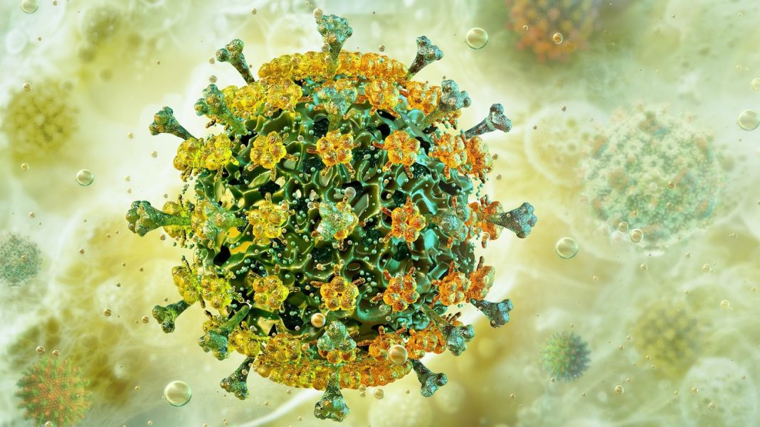 1st bird flu death in the US reported in Louisiana