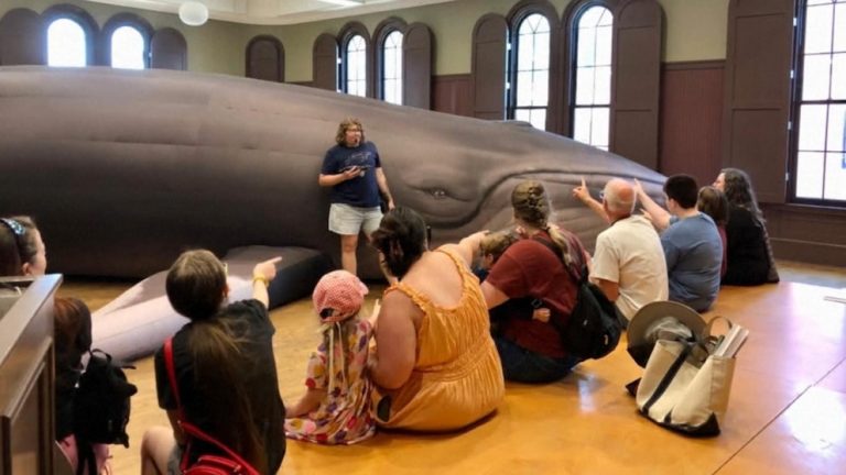 WATCH:  Educator goes big with lessons involving a 43-foot whale