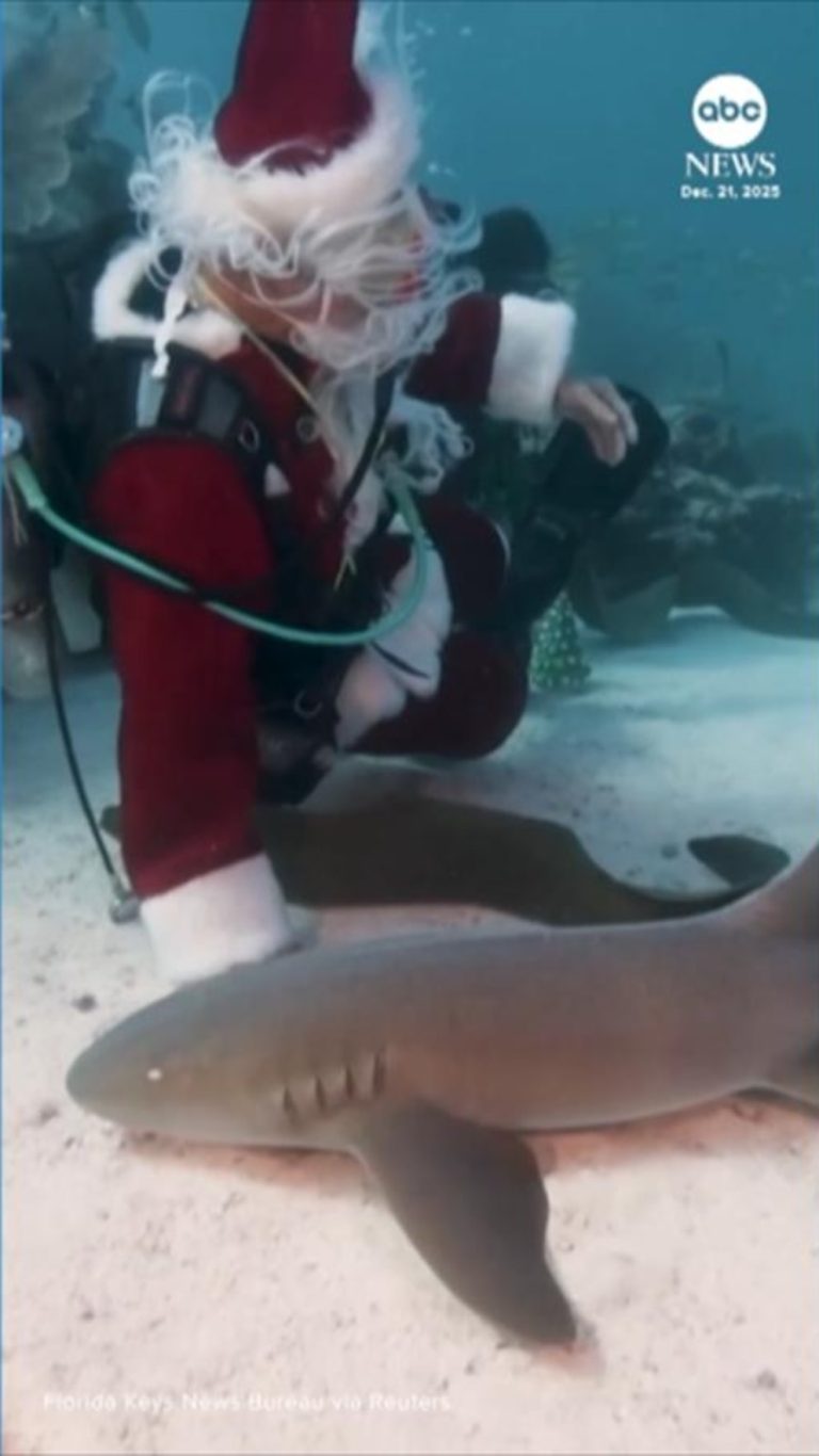 Video Scuba-diving Santa Claus takes a holiday plunge in the Florida Keys