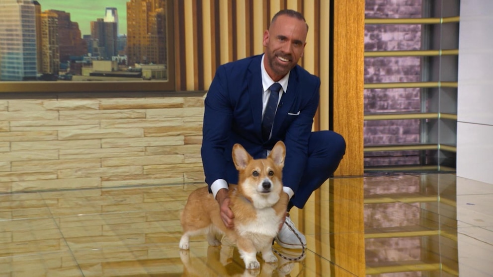 WATCH: New Year’s resolutions for your pets