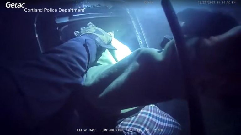 WATCH:  Ohio officers save man from burning car in daring rescue