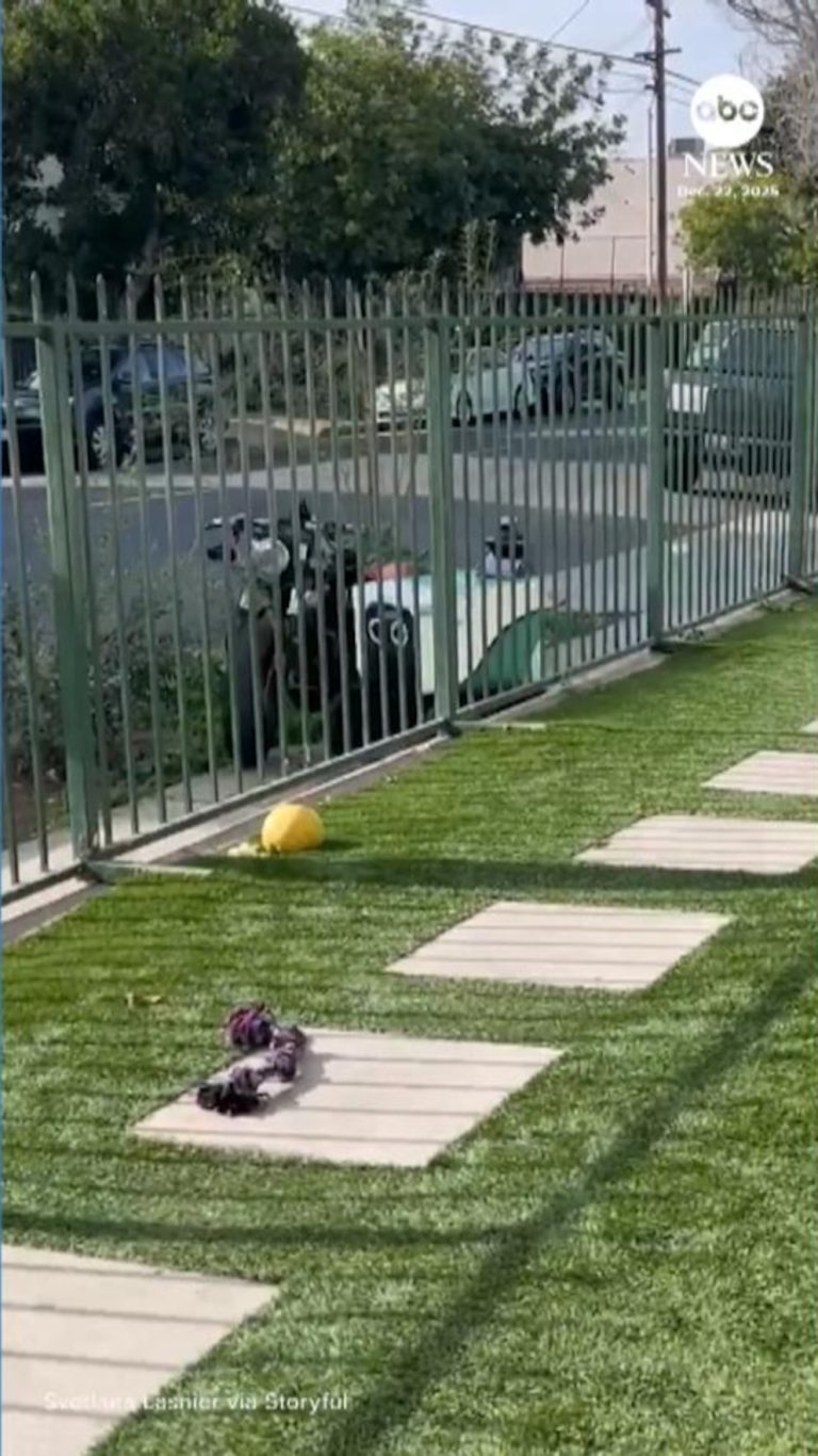 WATCH:  Delivery robot knocks down motorcycle parked on sidewalk