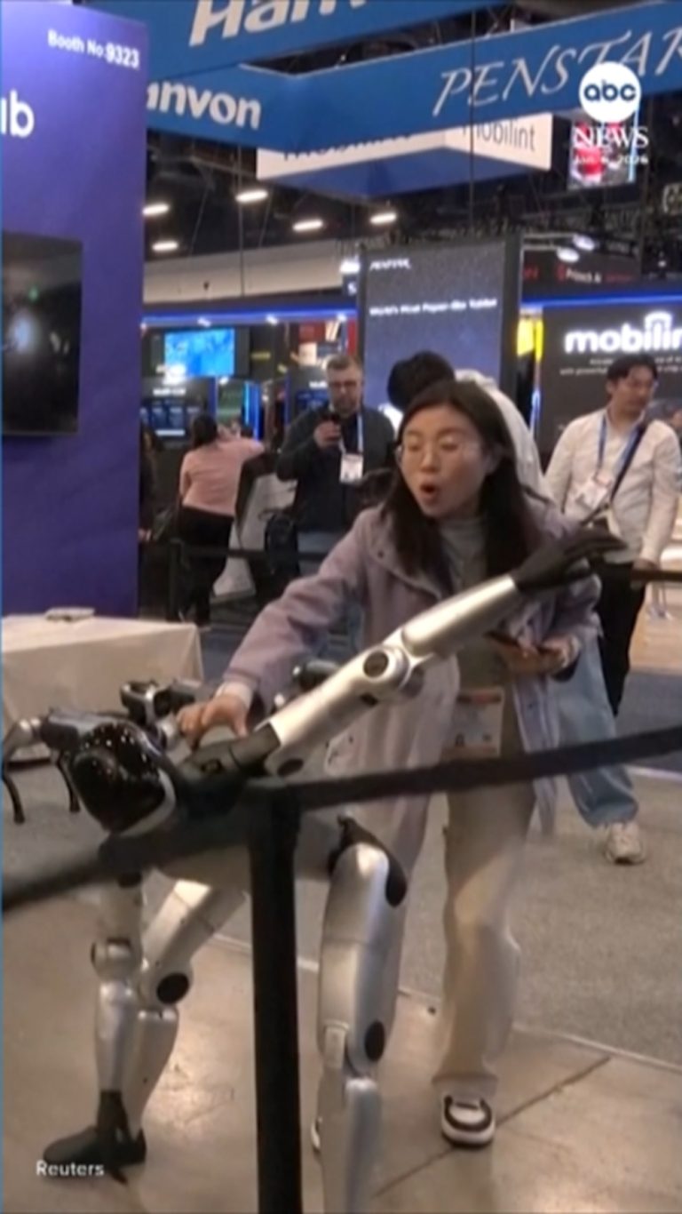 WATCH:  Dancing robot gets too funky at CES