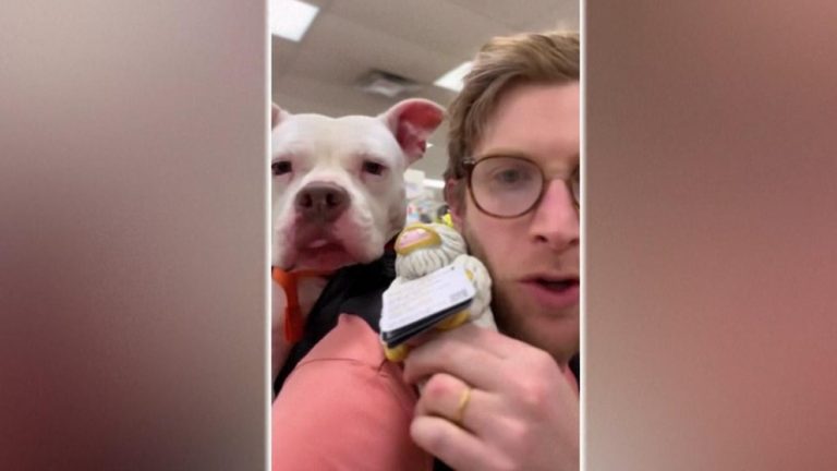 WATCH:  This man is using a backpack to help get dogs adopted