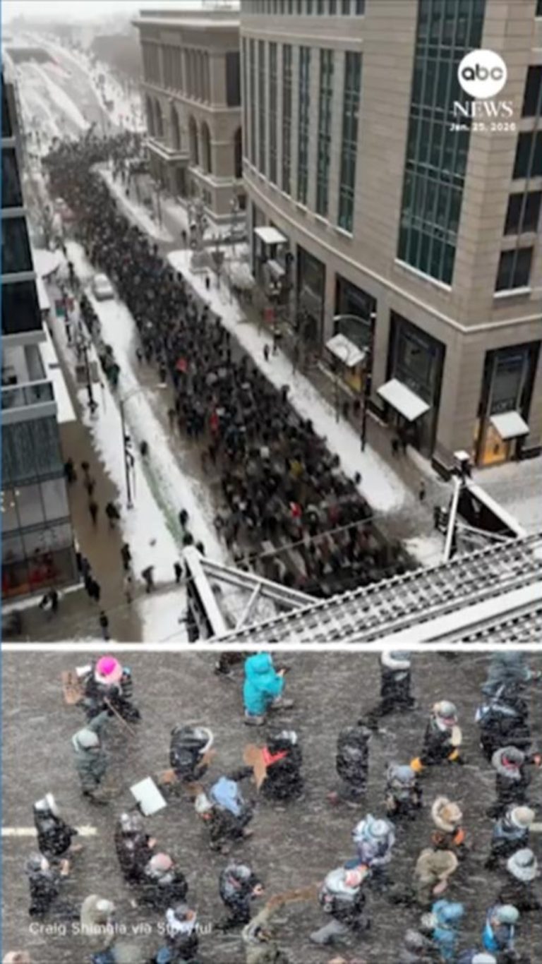 WATCH:  Anti-ICE protesters march through snowy Chicago