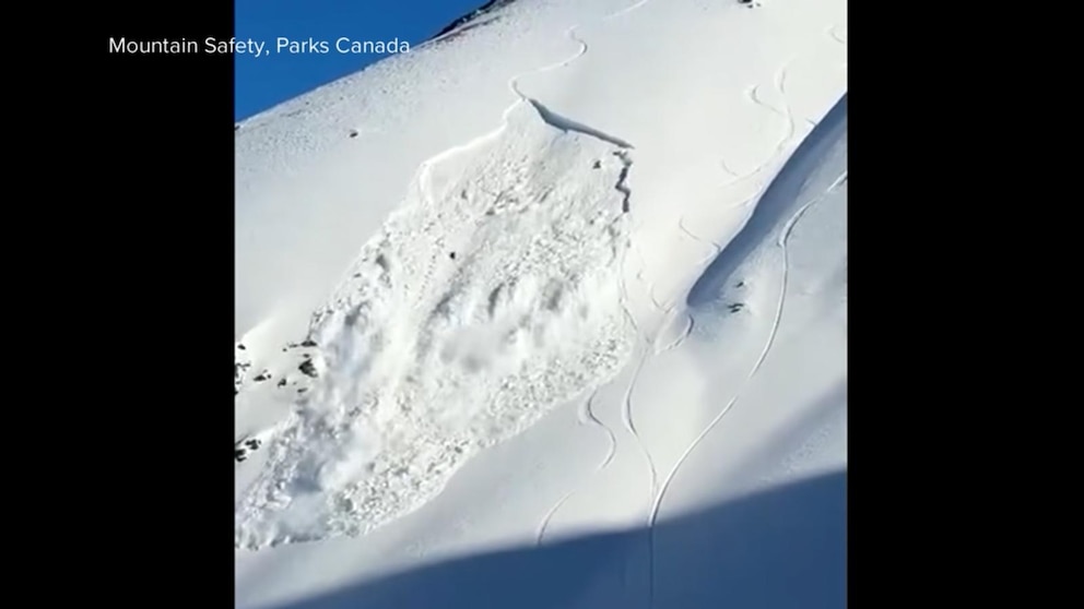 WATCH: Skier survives after triggering avalanche in Canadian Rockies
