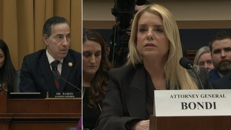 WATCH:  Bondi calls Rep. Raskin 'washed up, loser lawyer' in tense hearing