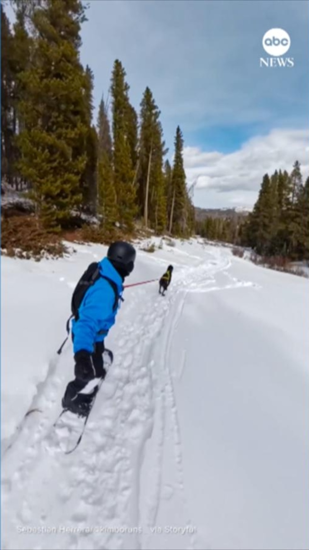 WATCH: Colorado snowboarder doesn’t need much slope with this dog around
