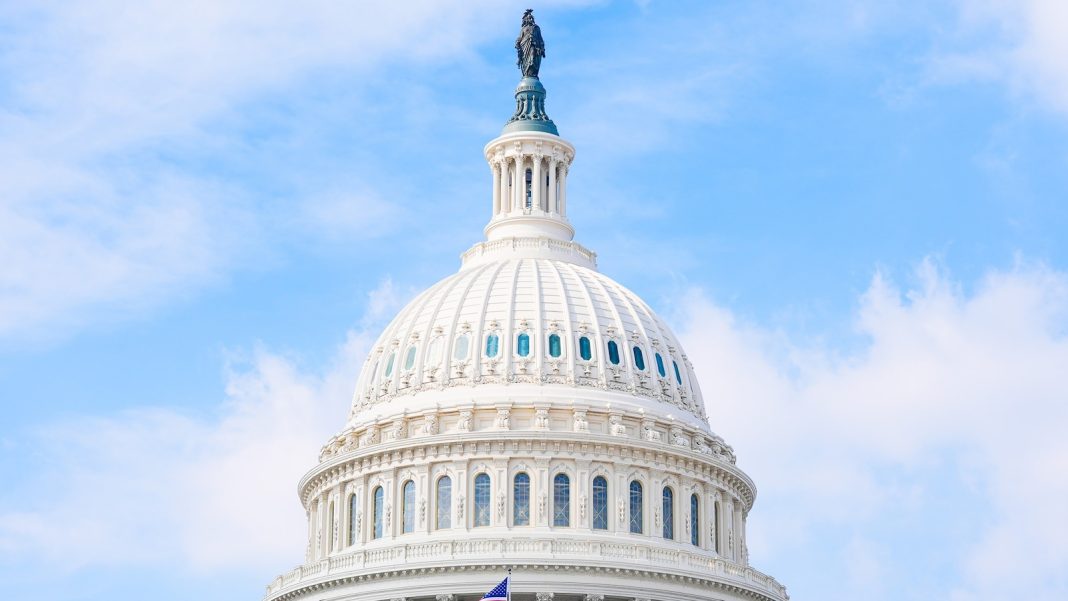 Person with what appears to be a gun arrested outside US Capitol: Police