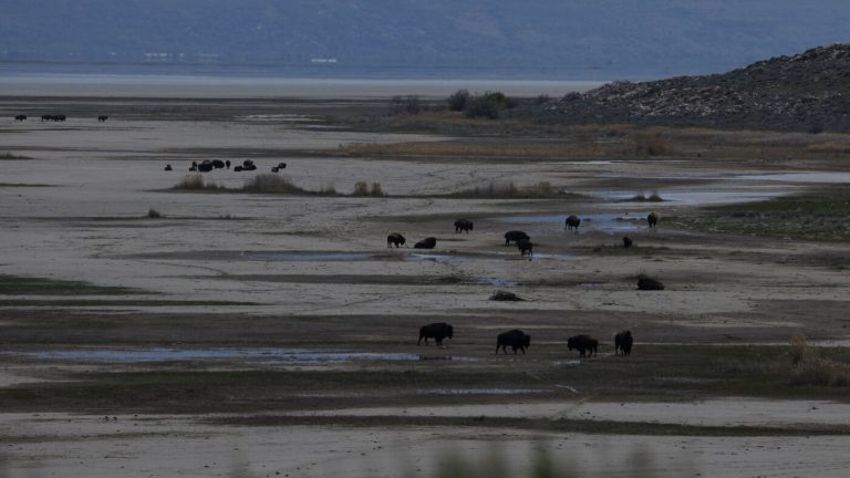 Why Trump wants to spend $1 billion on Great Salt Lake : NPR